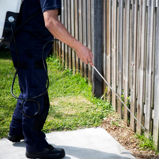 Destruction nid de guêpes à Rennes par SOS Expert Hygiène