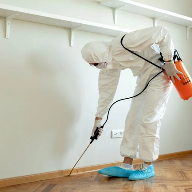 Intervention anti-nuisibles à Lyon par SOS Expert Hygiène